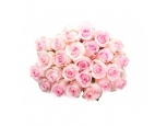 Blooming Love - 24 Stems In Bouquet